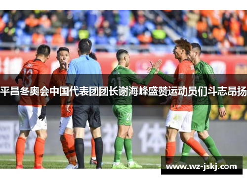 平昌冬奥会中国代表团团长谢海峰盛赞运动员们斗志昂扬